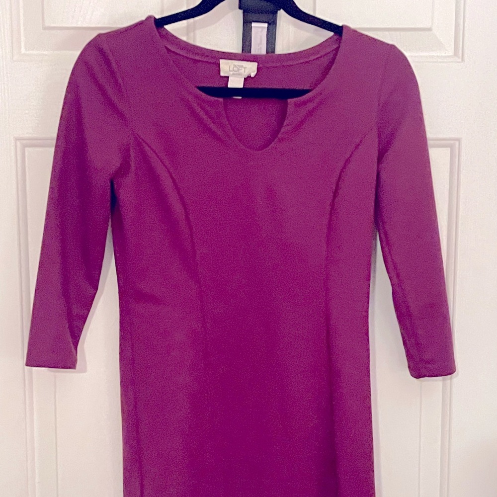 Ann Taylor Loft dress